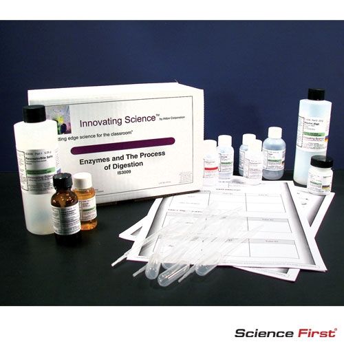 Enzymes And Digestion Process
